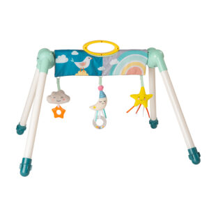 Taf Toys Mini Moon Take To Play Babygym